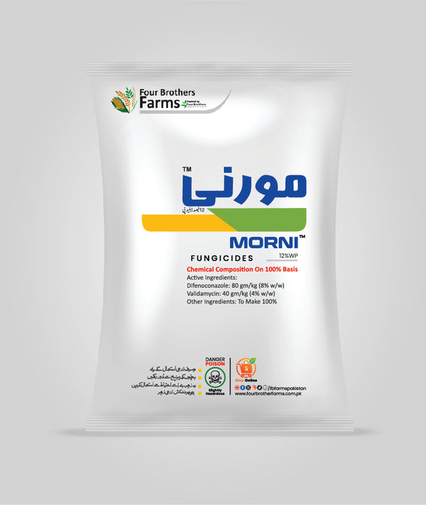 مورنی