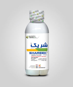 Shareek